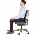 Profesjonalna podpórka pod plecy Fellowes