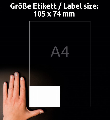 3_3427_4004182034279.jpg
