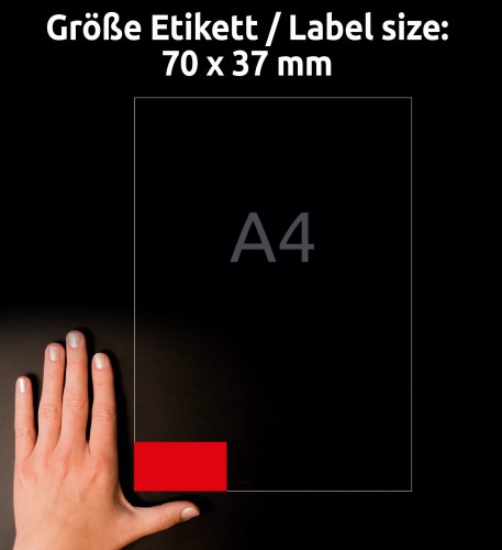 3_3448_4004182034484.jpg