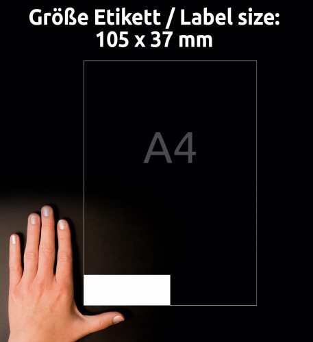 3_3484_4004182034842.jpg
