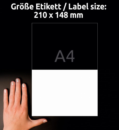 3_3655_4004182036556.jpg