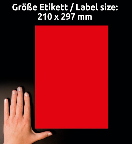 3_L6005-25_4004182608463.jpg