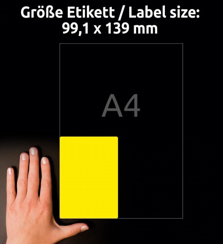 3_L6127-20_4004182048368.jpg