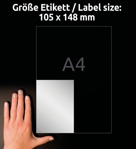 4_L6134-20_4004182049846.jpg