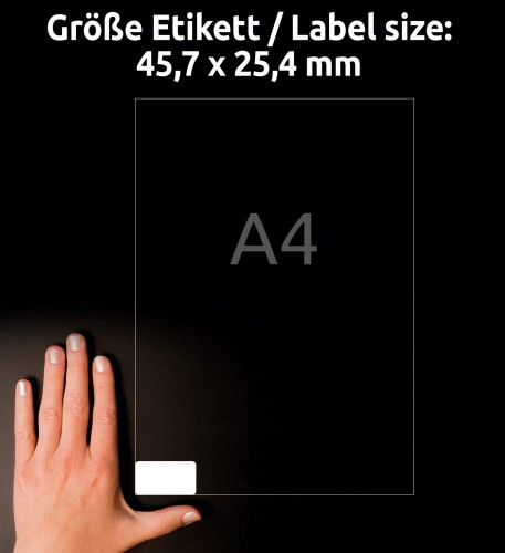 3_L6140-20_4004182059852.jpg