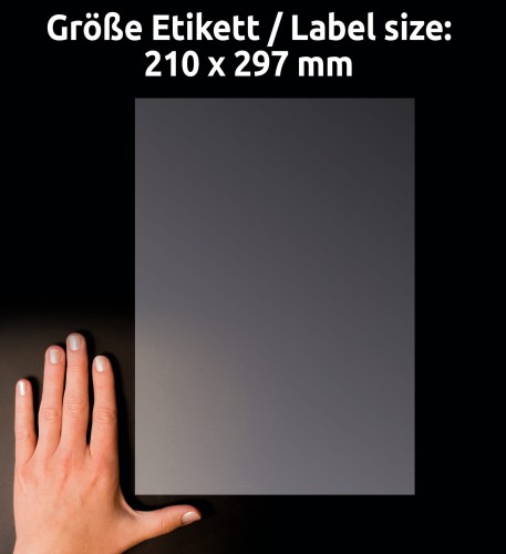 3_L7784-25_4004182252567.jpg