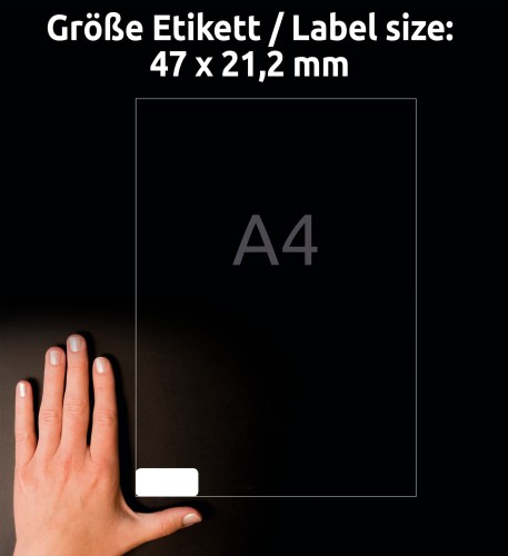3_L7911-10_4004182068083.jpg
