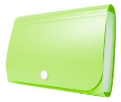 Tetis MINI ORGANIZER HARMONIJKOWY PP ZIELONY