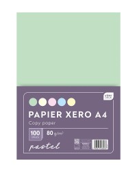 Papier Xero A4 100 Kartek 5 Kolorów Pastelx 20 Kartek Interdruk Paksa4pastel