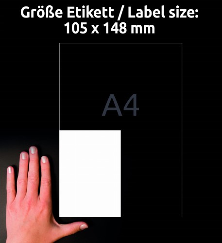 3_6601_4004182066010.jpg