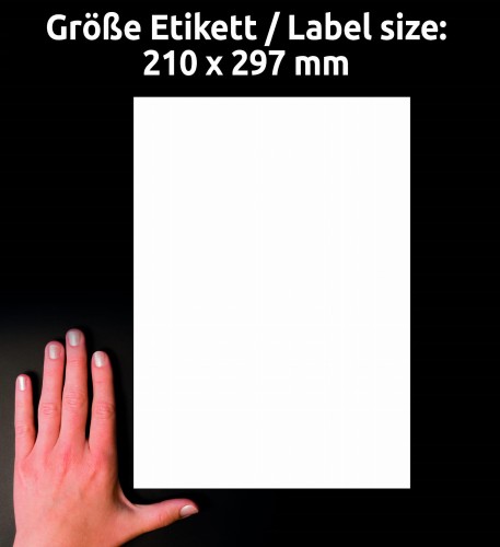 3_6603_4004182066034.jpg