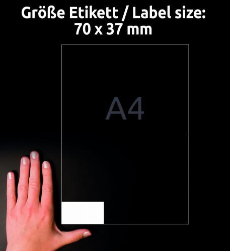 3_6605_4004182066058.jpg
