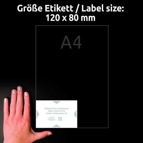 3_8001-20_4004182334980.jpg