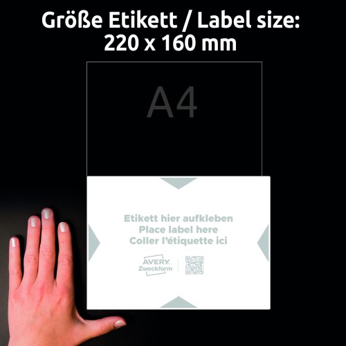 3_8003-5_4004182335000.jpg