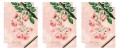 b4582ba3-28b8-4140-a155-4380c341db9e