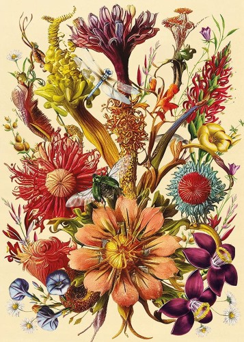 Puzzle-Flowers-1000-Elementow-nr-5-Interdruk-IDEALNE-NA-PREZENT-EAN-GTIN-5902277370044.jpg