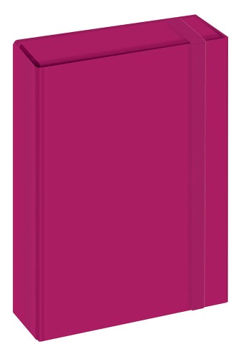 Teczka A4 TO BOX_5902277320322_FUKSJA.jpg