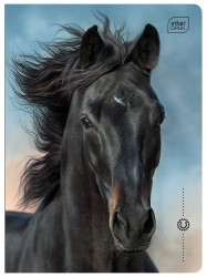 Interdruk Zeszyt A5  16 kartek kolor 3 linie 70g Wild Horses
