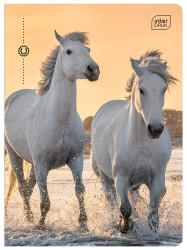 Interdruk Zeszyt A5 16 kartek w kratkę 70g Wild Horses