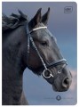Zeszyt A5 16# UV Wild Horses 5902277366320 (3).jpg