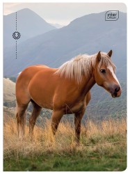 Interdruk Zeszyt A5 32 kartek kolor 3 linie 70g Wild Horses