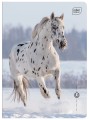 Zeszyt A5 32 kolorowa 3= UV Wild Horses 5902277366733 (2).jpg