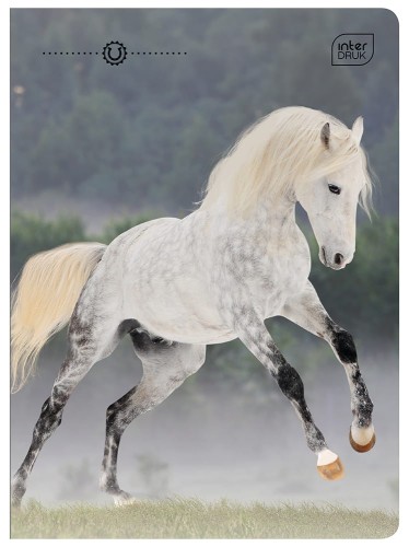 Zeszyt A5 32 kolorowa 3= UV Wild Horses 5902277366733 (4).jpg
