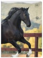 Zeszyt A5 32 kolorowa 3= UV Wild Horses 5902277366733 (7).jpg