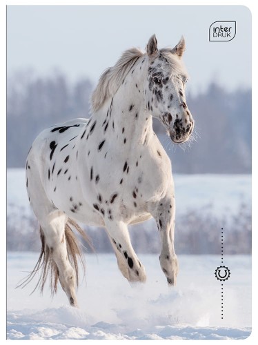 Zeszyt A5 32 kolorowa 3= UV Wild Horses 5902277366733 (8).jpg