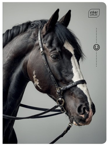 Zeszyt A5 32# UV Wild Horses 5902277366573 -1.jpg