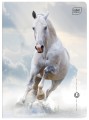 Zeszyt A5 32# UV Wild Horses 5902277366573 -3.jpg