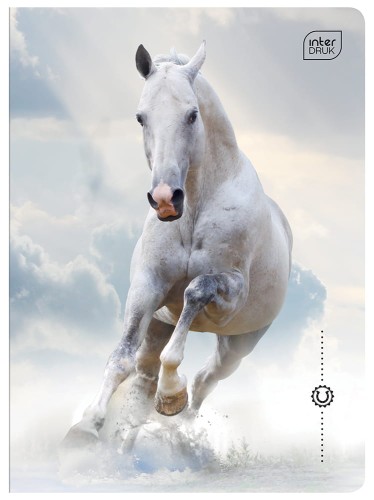Zeszyt A5 32# UV Wild Horses 5902277366573 -3.jpg