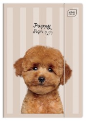 Teczka Z Gumką A4 + Lux Uv Kolekcja Puppy Sign Interdruk 