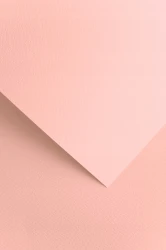 Galeria Papieru Karton ozdobny Sawanna pudrowy róż 20 szt./op. 220 g/m2
