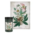 Interdruk Puzzle 1000 Botanic Helleborus