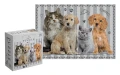 Interdruk Puzzle 250 Puppy Sign 4