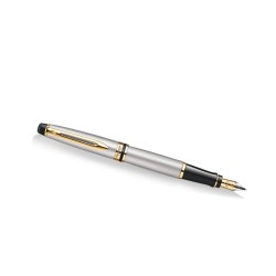 Pióro Wieczne Waterman Expert Stalowy Gt S0951940